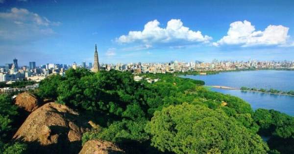 學(xué)習(xí)國外苗木行業(yè)經(jīng)驗(yàn)，搶先了解國內(nèi)市場動態(tài)